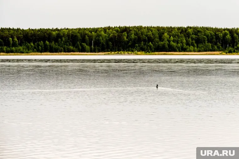 Женщина утонула в водоеме в Шурышкарском районе