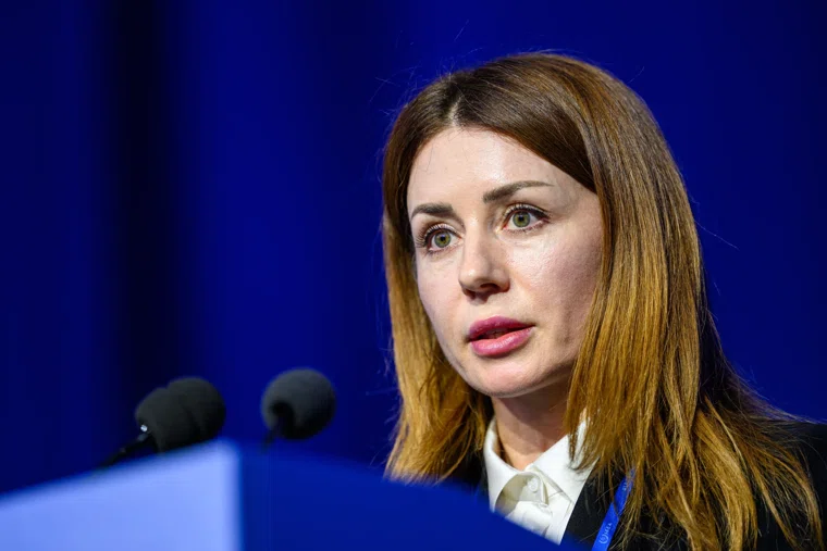 Экс-министр энергетики Украины Светлана Гринчук заявила, что все обвинения в коррупции не имеют оснований