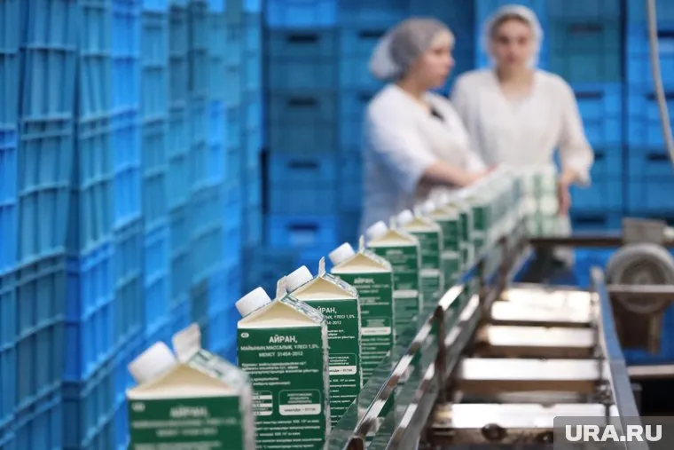 В Кургане на заводе «Молоко Зауралья» производят кефир из собственных заквасок