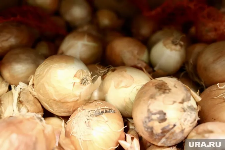 Цена на лук выросла почти на 20%