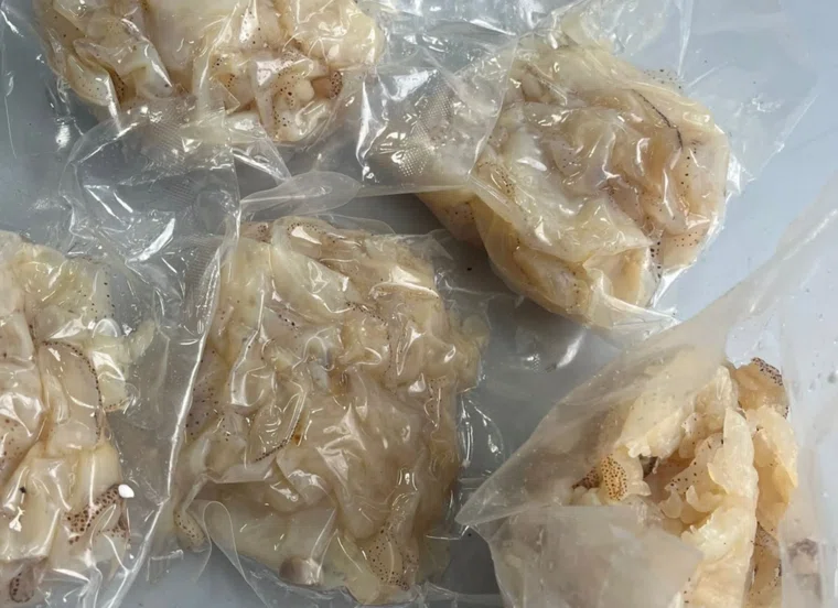 Три килограмма мяса медуз изъяли у пассажира из Вьетнама в иркутском аэропорту