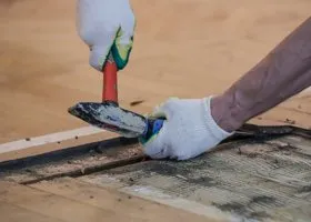 Фотография из галереи