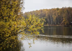 Свердловчанин жестоко убил друга на пруду, но суд не смог посадить его в тюрьму