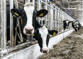 В Свердловской области построят завод, семь молочных ферм и сухопутный причал