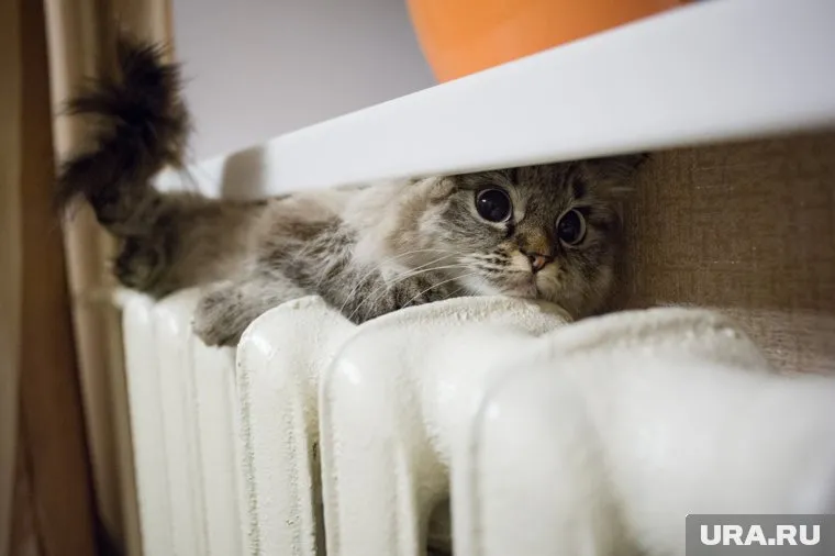 В бараке остались жить те, кому некуда пойти