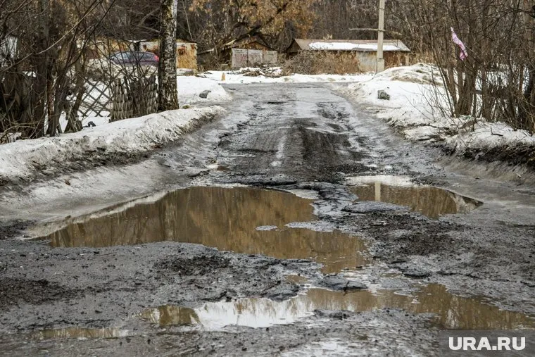 Лужу назвали в честь главы Тюменского муниципального района