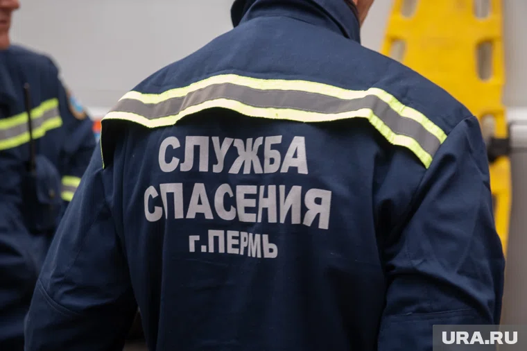 Предприниматель совместно с ГИБДД разбирается в причинах смертельной аварии 