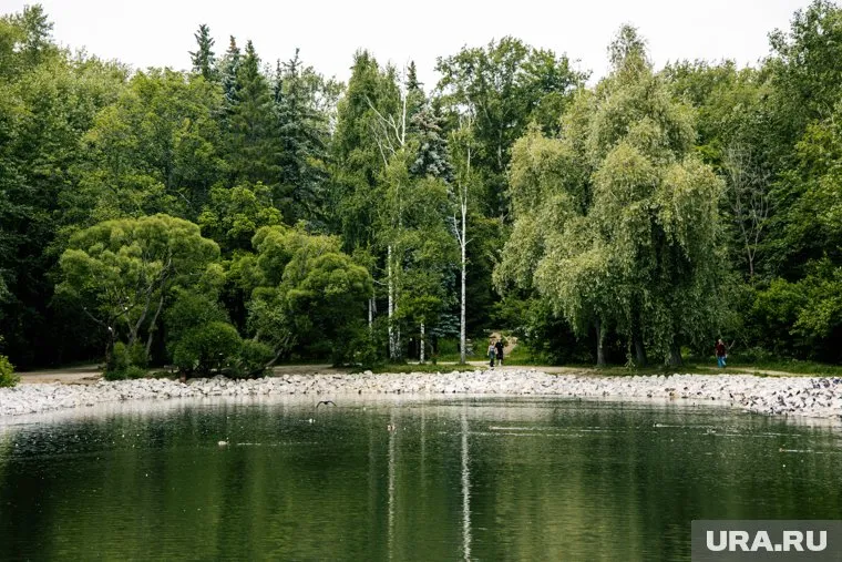 Ребенка вытащили из пруда очевидцы