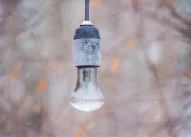 Фотография из галереи