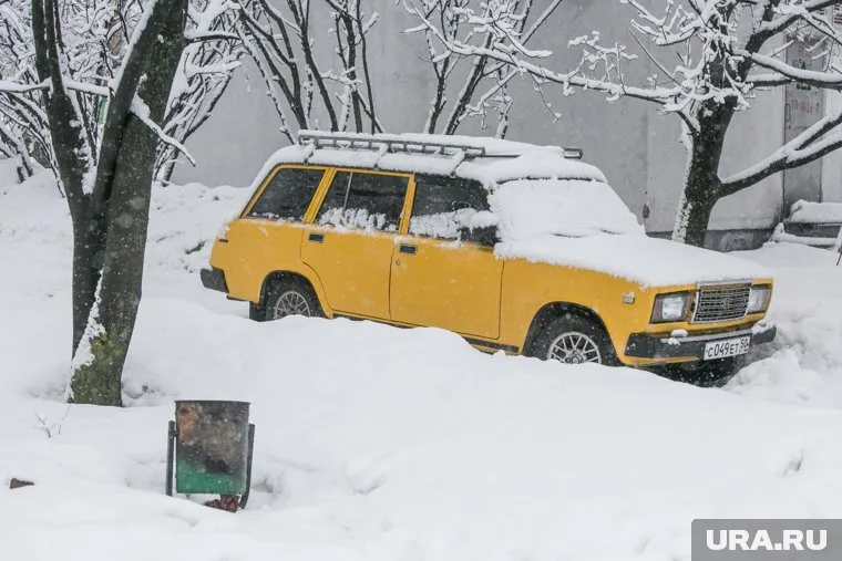 К концу недели в Москве выпадет до 46 см снега