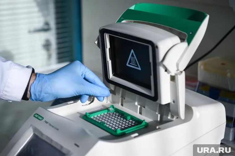 Уровень хронического гепатита В и C остается стабильно высоким