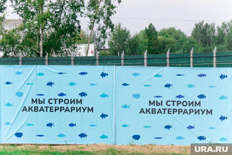 Реализация проекта рассчитана на период с 2024 по 2027 годы