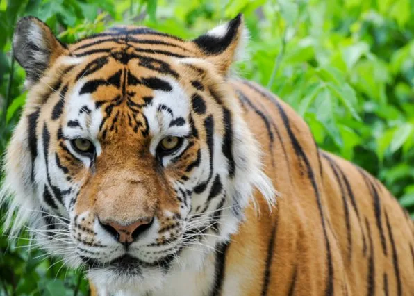 Фотография из галереи