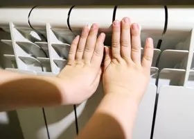Фотография из галереи