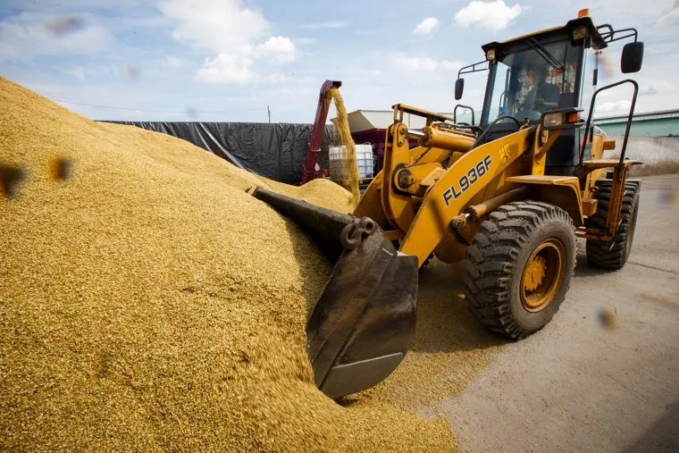 Начало уборочной кампании. Сельхозугодья Белоярского района. Екатеринбург, бульдозер, заготовка корма, зерно