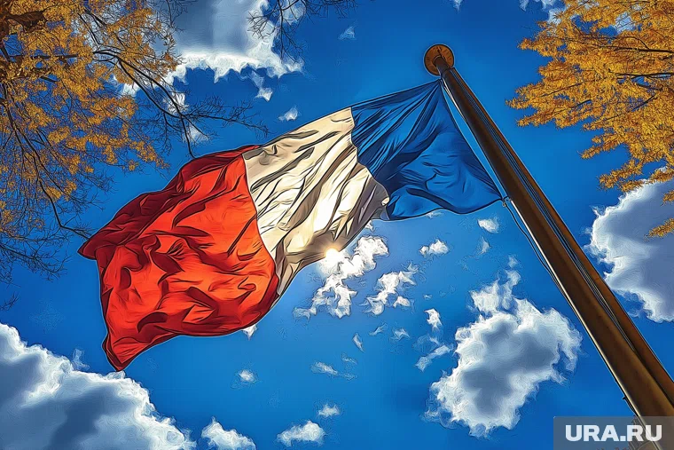 Франция не решится сбить российский самолет, если он попадет в воздушную зону НАТО