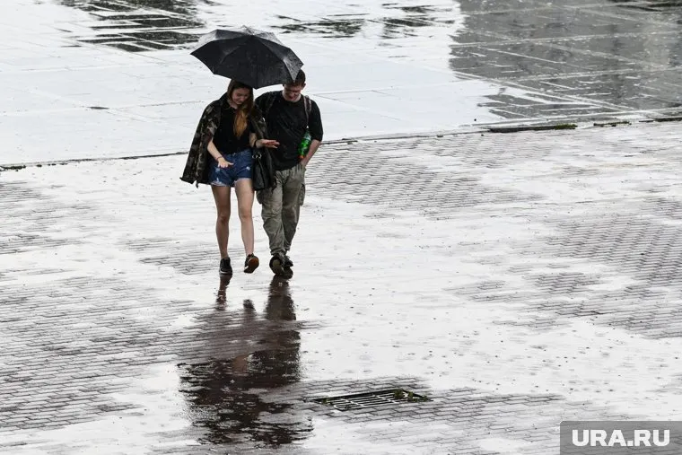 К концу недели температура воздуха опустится до +19