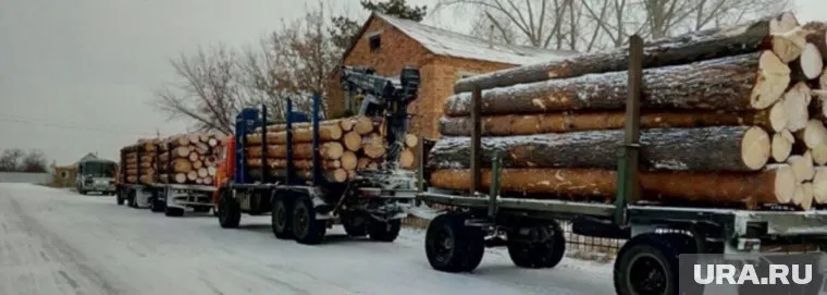«Черные лесорубы» разработали целую преступную схему