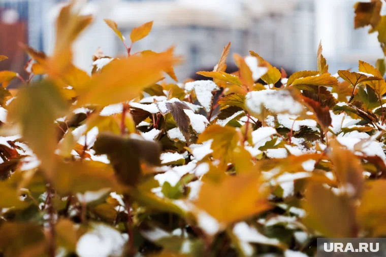 Потепление на Средний Урал принесет теплый атмосферный фронт