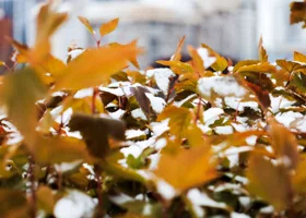 Синоптик рассказал, когда ждать заметное потепление в Свердловской области