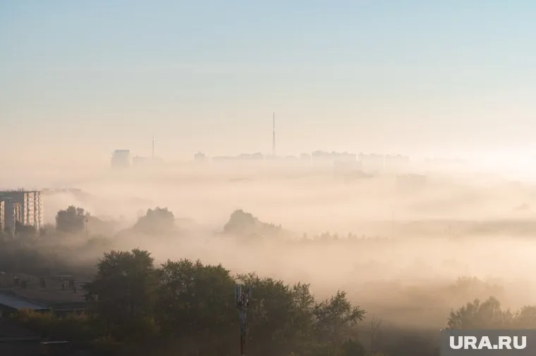 Туманы и облачность ожидаются в понедельник