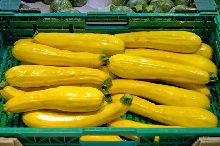 Кабачок.stock