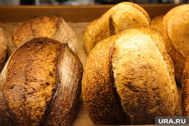 Пекарню закрыли на 14 суток по решению суда