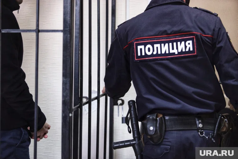 Женщину с шестью детьми задержали в Домедово по делу о терроризме