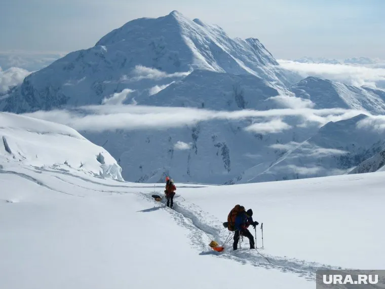На экспедицию «Ямал-Арктика» власти округа планируют выделить 15 млн рублей
