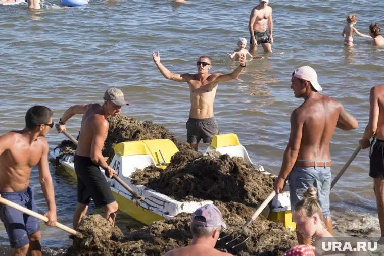 Грязь с пляжей вывозят в море