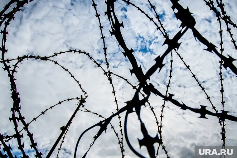 Исмаил Дарцаев сейчас находится под стражей