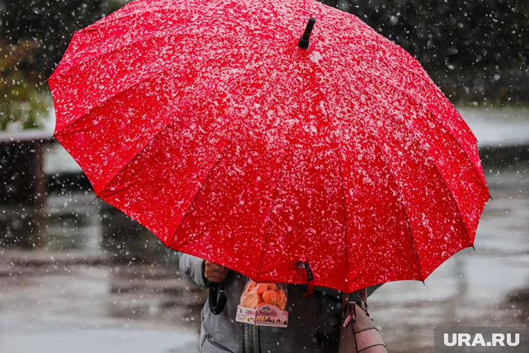 В Петербурге в выходные пройдет снег