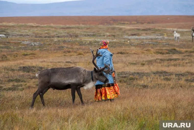 Коренные народы ЯНАО недовольны своими представителями во власти