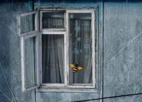 Фотография из галереи