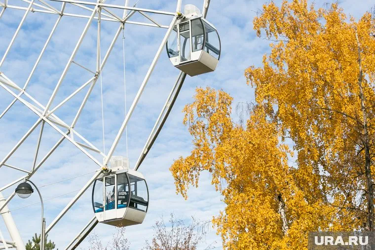 Теплая осень в Тюмени продолжится до 10 октября