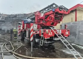 Фотография из галереи