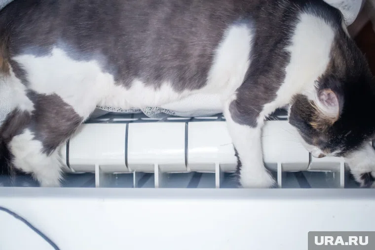 Пока в Екатеринбурге дали тепло еще не во все дома