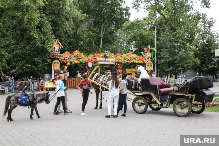 С 22 июня в Тюменской области для посещения открыты парки и скверы
