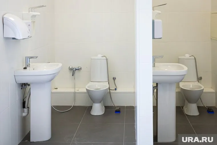 Прозрачные двери в туалете гимназии установили в прошлом году (архивное фото)