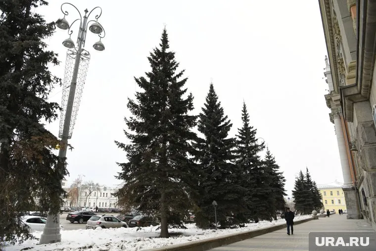 Предполагается, что, если решение все-таки будет принято, замена елок пройдет в 2022 году