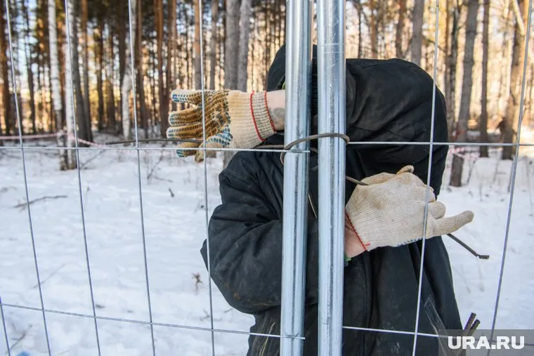 Противостояние в Березовой роще начались утром 11 февраля
