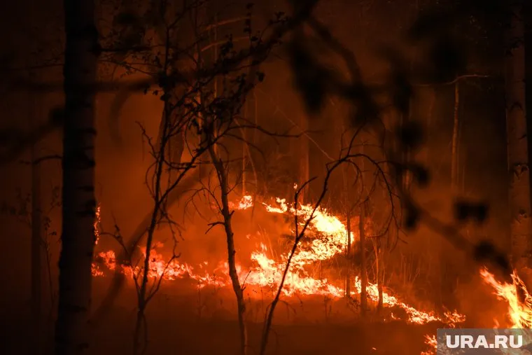 Президент дал поручения властям после пожаров в Якутии и потопов в Крыму