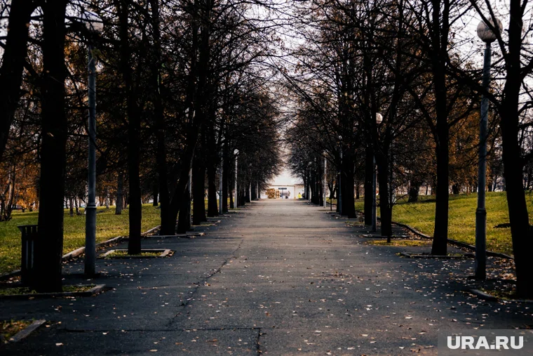 Работы проведут до 10 ноября