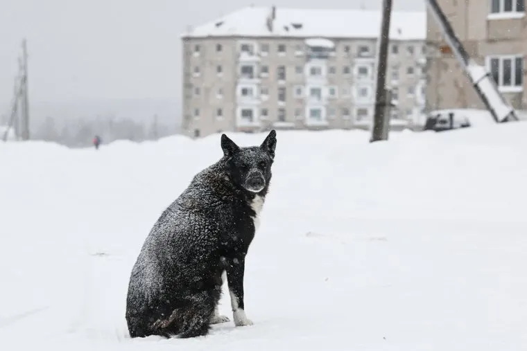 Поселок Юбилейный и окрестности. Пермский край