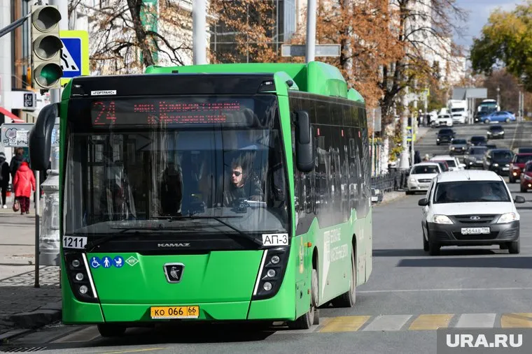 Общественники предложили ввести в России новый штраф для перевозчиков