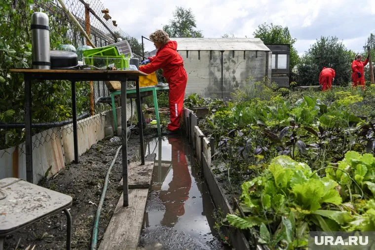 Майские праздники могут продлить, чтобы россияне поработали в огородах