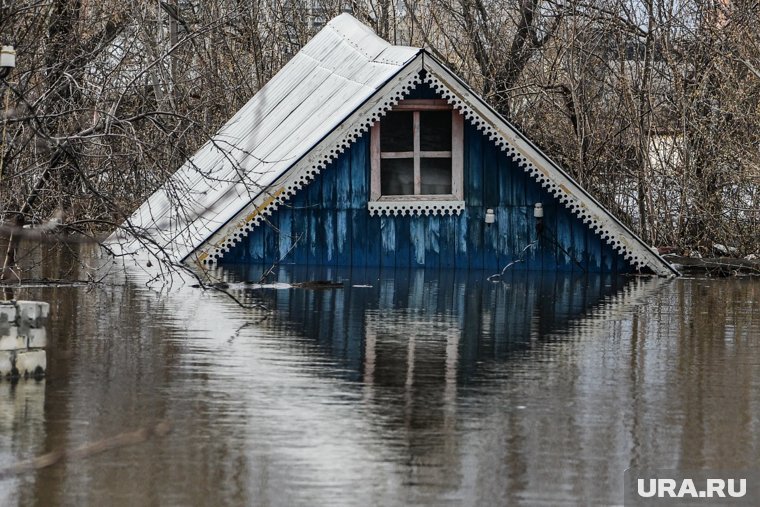 В Кургане многодетная мать потеряла мужа и жилье. Фото