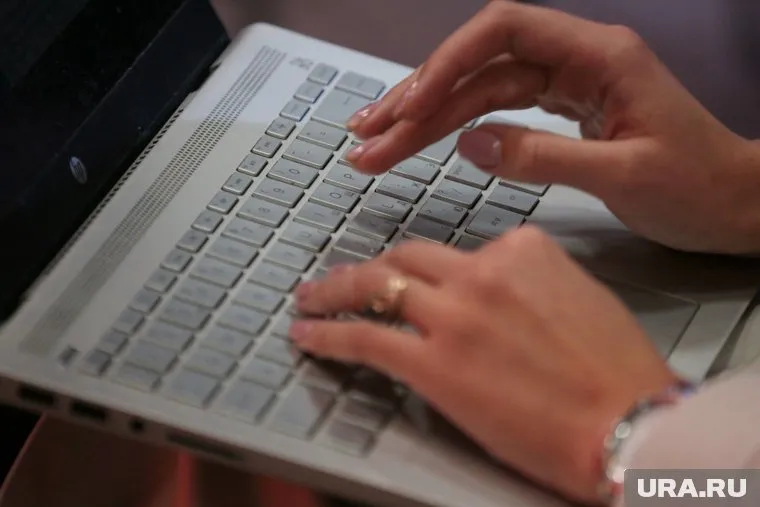 С начала года на Ямале увеличилось число соискателей