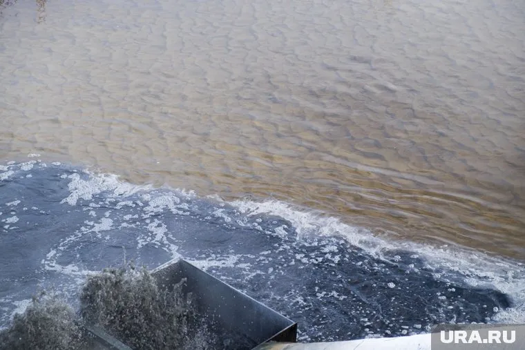 В озеро сливали загрязненную воду