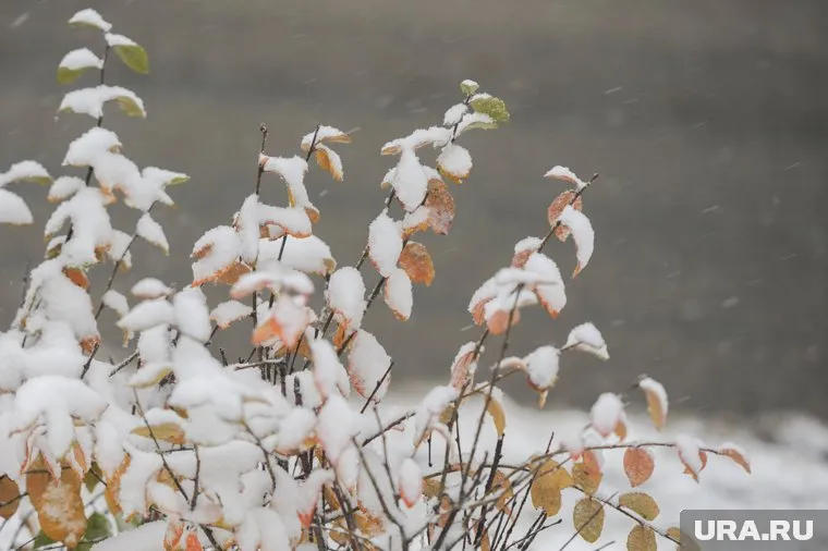 Снег вернется в Челябинск в конце следующей недели